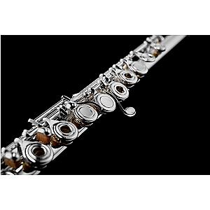 Di Zhao Flute, Intermediate Model DZ501 BEF