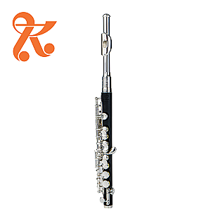 Di Zhao Piccolo, Student Model DZP101