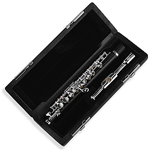 Di Zhao Piccolo, Student Model DZP101