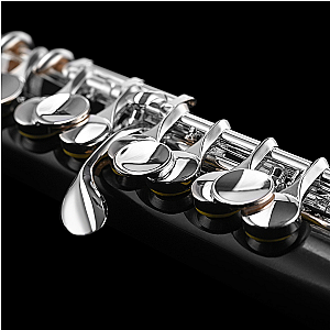 Di Zhao Piccolo, Student Model DZP101