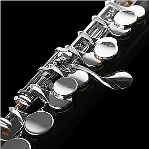 Di Zhao Piccolo, Student Model DZP101
