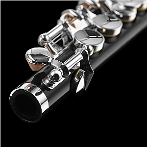 Di Zhao Piccolo, Student Model DZP101