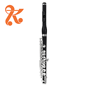 Di Zhao Piccolo, Student Model DZP102