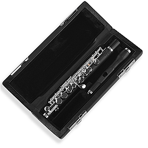 Di Zhao Piccolo, Intermediate Model DZP201