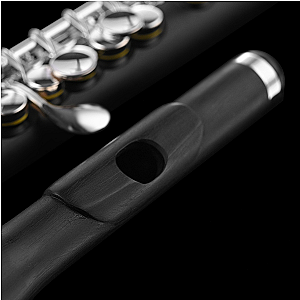 Di Zhao Piccolo, Intermediate Model DZP201