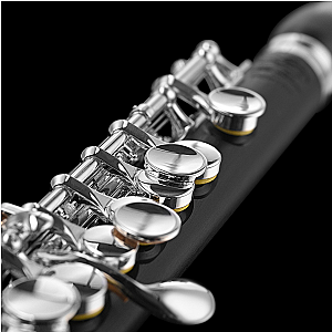Di Zhao Piccolo, Intermediate Model DZP201