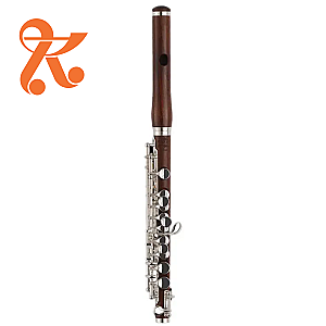 Di Zhao Piccolo, Semi-Professional Model DZP301