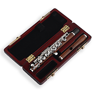 Di Zhao Piccolo, Semi-Professional Model DZP301
