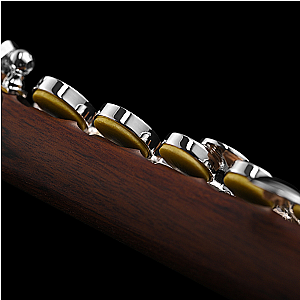 Di Zhao Piccolo, Semi-Professional Model DZP301