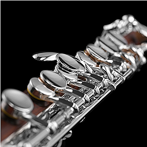 Di Zhao Piccolo, Semi-Professional Model DZP301