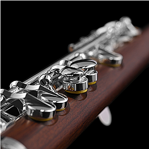 Di Zhao Piccolo, Semi-Professional Model DZP301