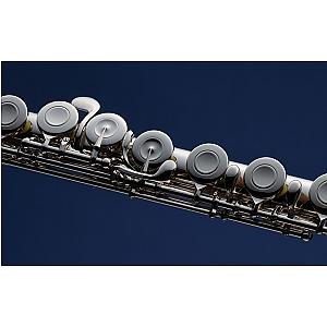 Muramatsu Flute  PTP